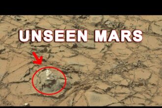 Scientific Discovery new clue to alien life on Mars or Signs of Life