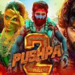 Pushpa 2 becomes highest grossing movie in Hindi, SRK की 'जवान' को पछाड़ा