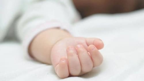 लखनऊ में कचरे के ढेर में पाए गए बच्चे विवेक की किस्मत बदली: अमेरिकी कंपनी के CEO ने गोद लिया