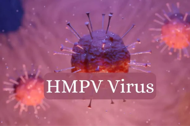 ओडिशा में HMPV वायरस के मामलों में वृद्धि: केंद्रीय सलाह के बाद कई स्थानों पर परीक्षण शुरू
