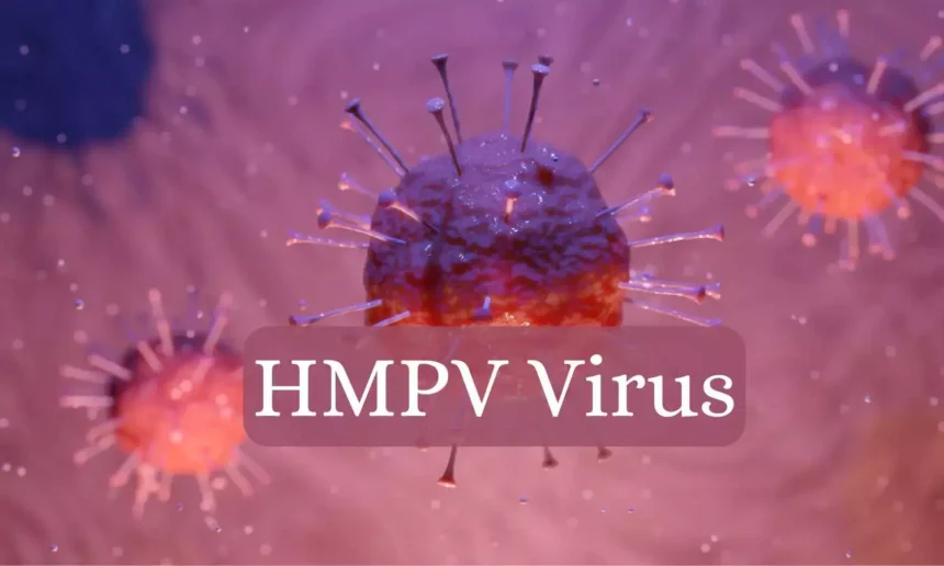 ओडिशा में HMPV वायरस के मामलों में वृद्धि: केंद्रीय सलाह के बाद कई स्थानों पर परीक्षण शुरू