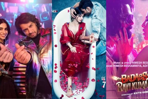 Sanam Teri Kasam: री-रिलीज के पहले दिन बॉक्स ऑफिस पर धमाकेदार शुरुआत