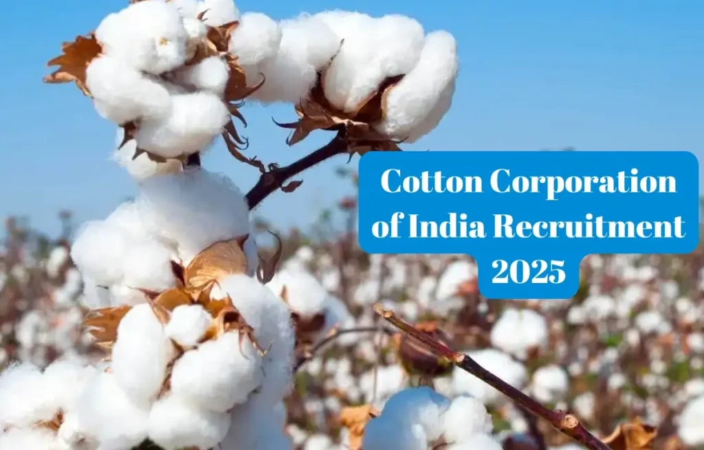 Cotton Corporation of India recruitment 2025 – 147 पदों पर निकली सरकारी नौकरी, अभी आवेदन करें!
